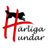 hunddagis logo